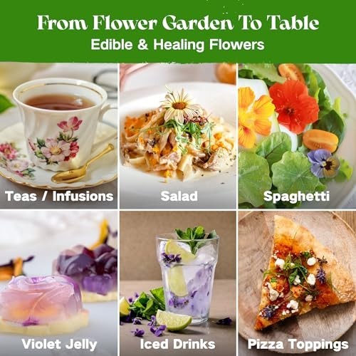 Edible Flower Seed Bank – 30,000+ Non-GMO Heirloom Seeds, Gardening Gift Set, Cu