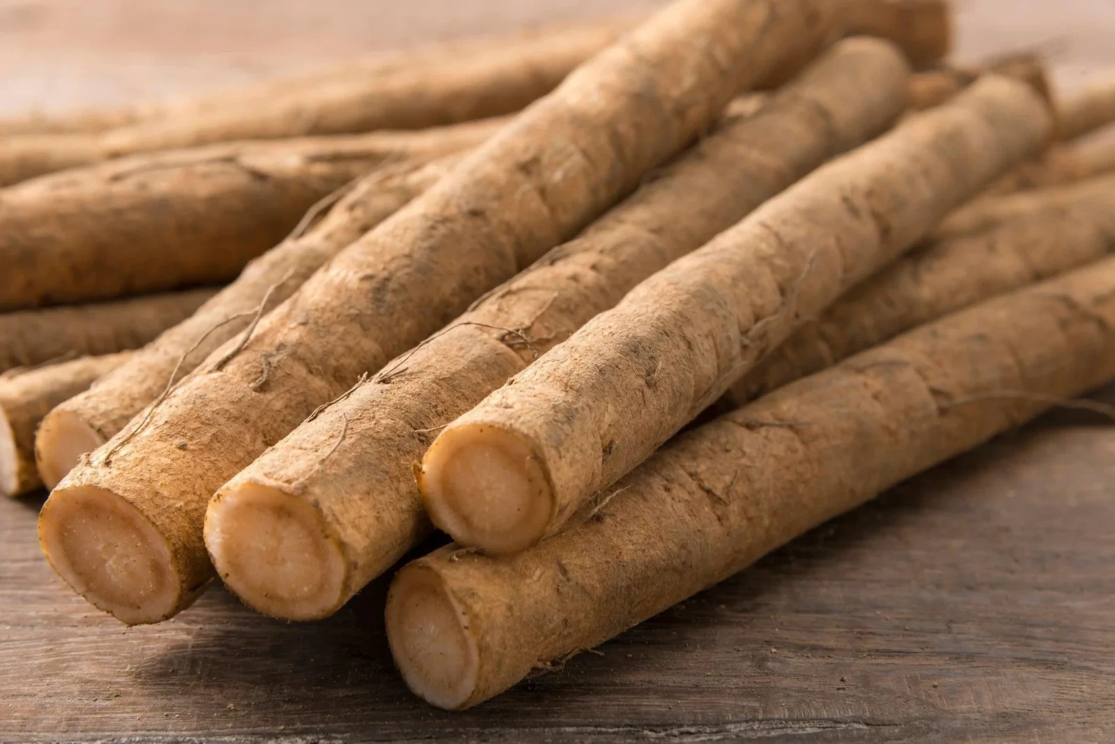 Burdock Seeds, Gobo Takinogawa, Beggar’s Buttons, NON-GMO, FREE SHIPPING