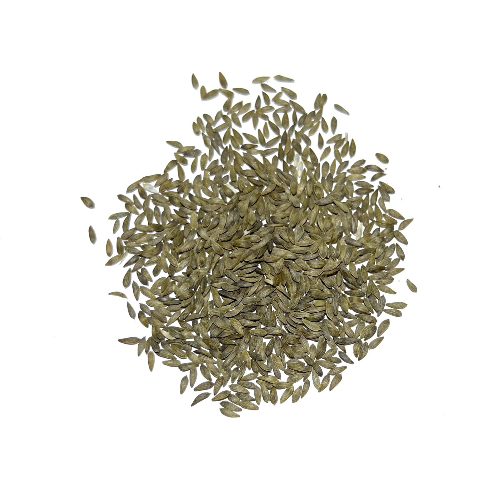 Buttercrunch Lettuce Seeds For Planting (Lactuca sativa)