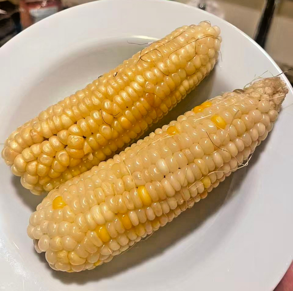 Organic Sweet Sticky Waxy White Glutinous Corn Non-GMO 糯玉米