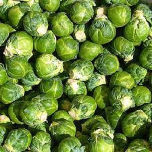 Premium Long Island Improved Brussel Sprouts – Fresh Organic Seed Buy any 3, 20%