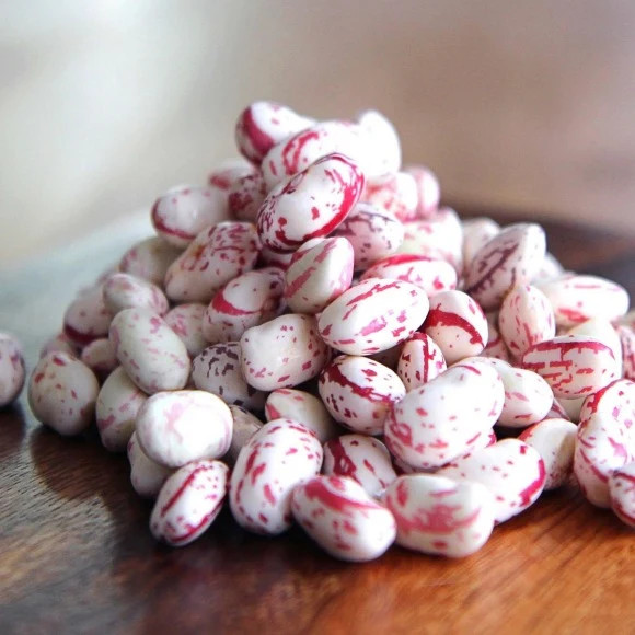 Pink Cranberry Bean Seeds |Dwarf Horticultural Taylor Italian Borlotti Seed 2024