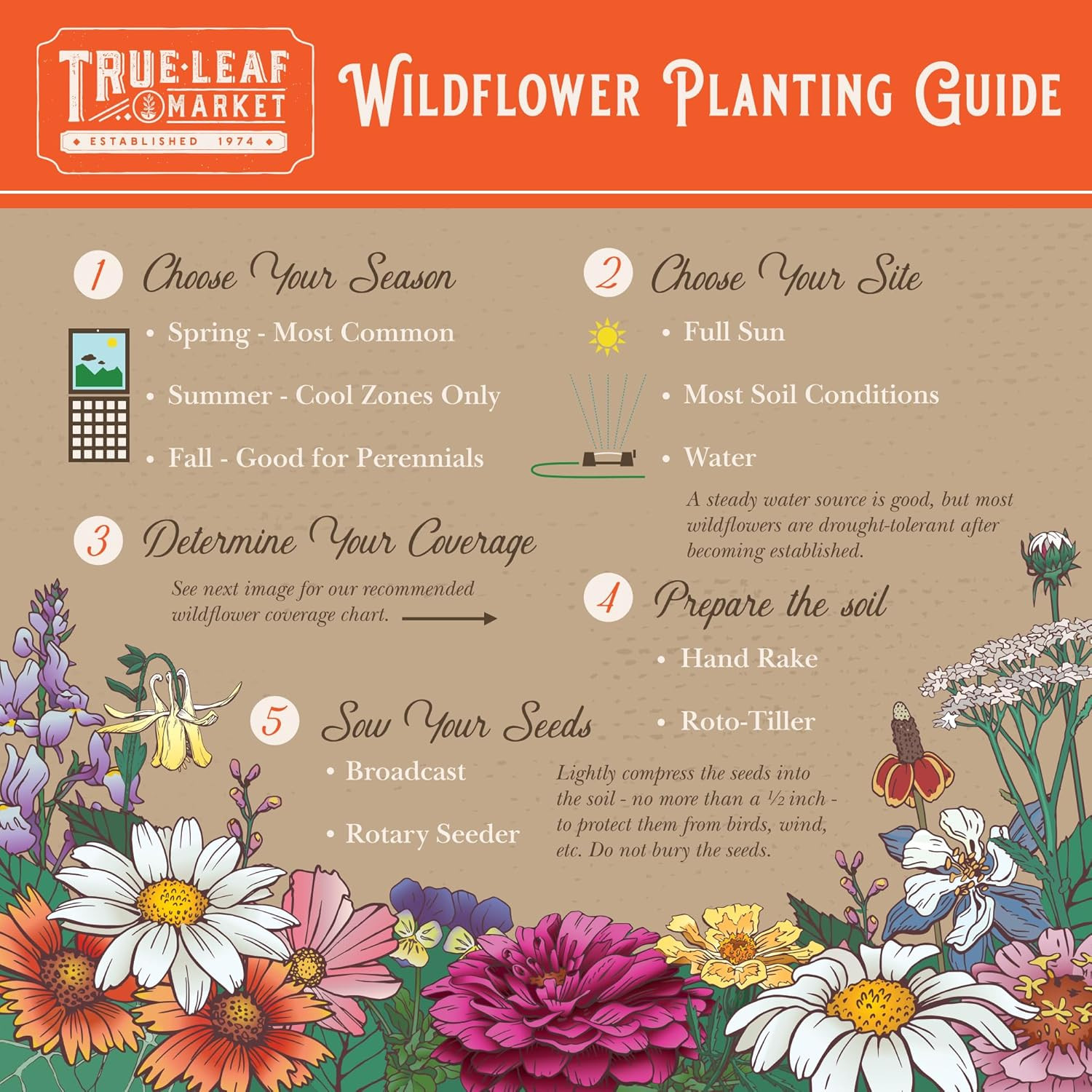 Rocky Mountain Wildflower Seeds Mix – 1 Lb Seed Pouch – 22 Wild Flower Seed Vari
