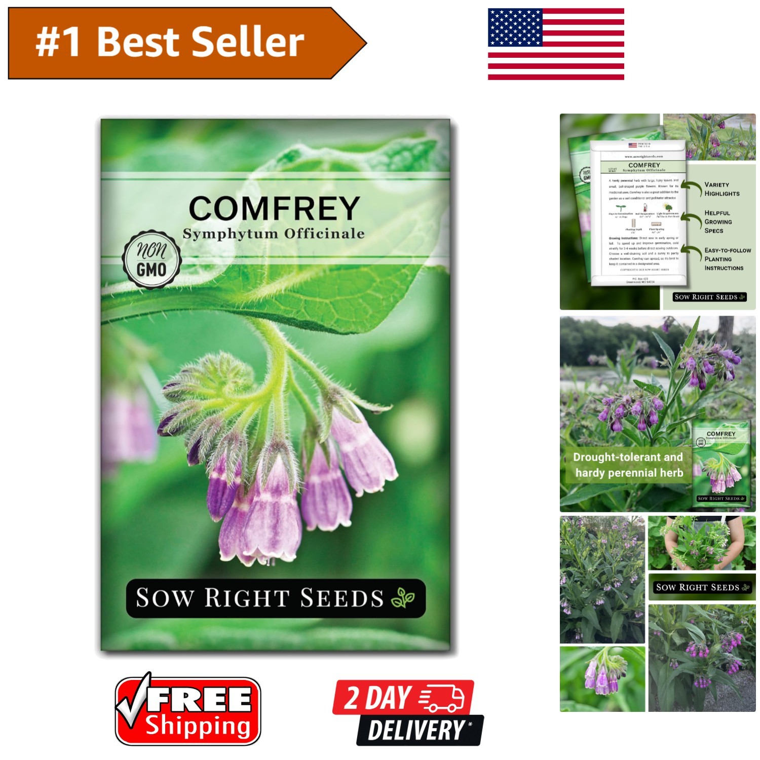 Medicinal Comfrey Seeds – Non-GMO, -Round Blooms for Herb Gardens & Remedies