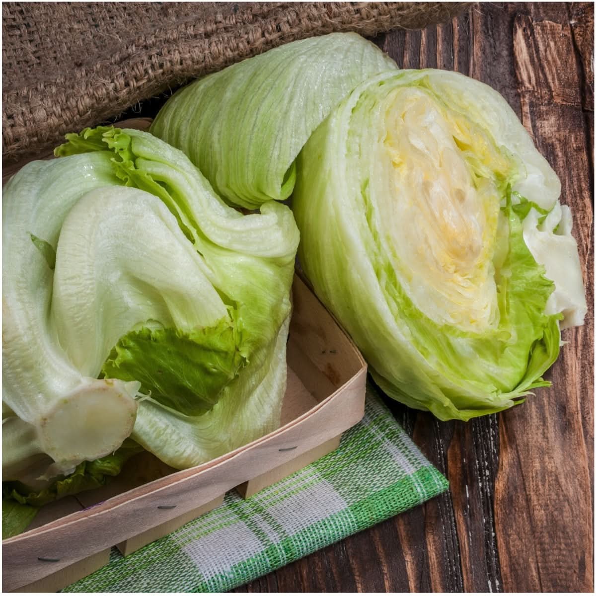 Iceberg Lettuce Seeds For Planting (Lactuca sativa)