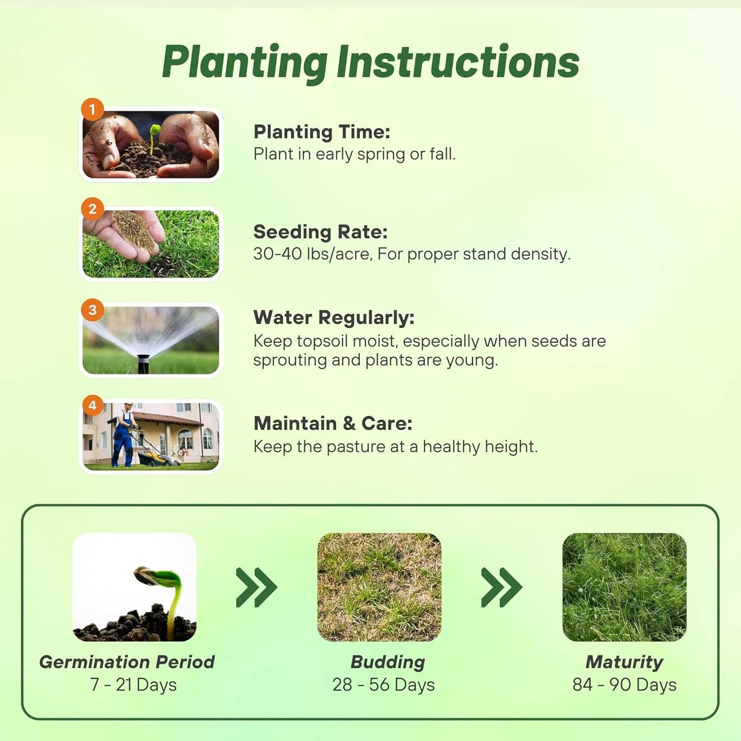 50 LBS All Purpose Pasture Seed Mix