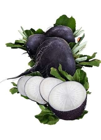 Black Spanish Radish Seeds For Planting (Raphanus sativus)