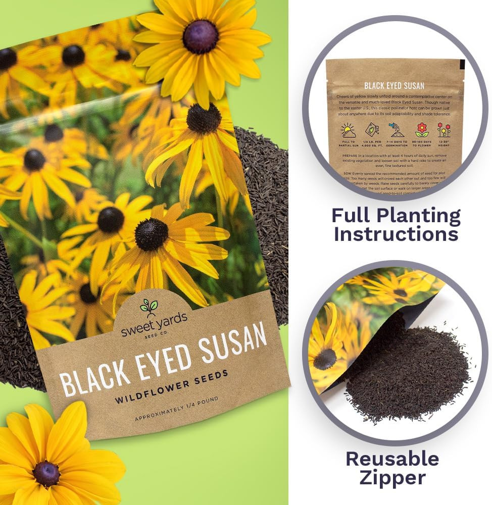 Black Eyed Susan – Bulk Quarter Pound Bag – over 400,000 Open Pollinated Non-Gm
