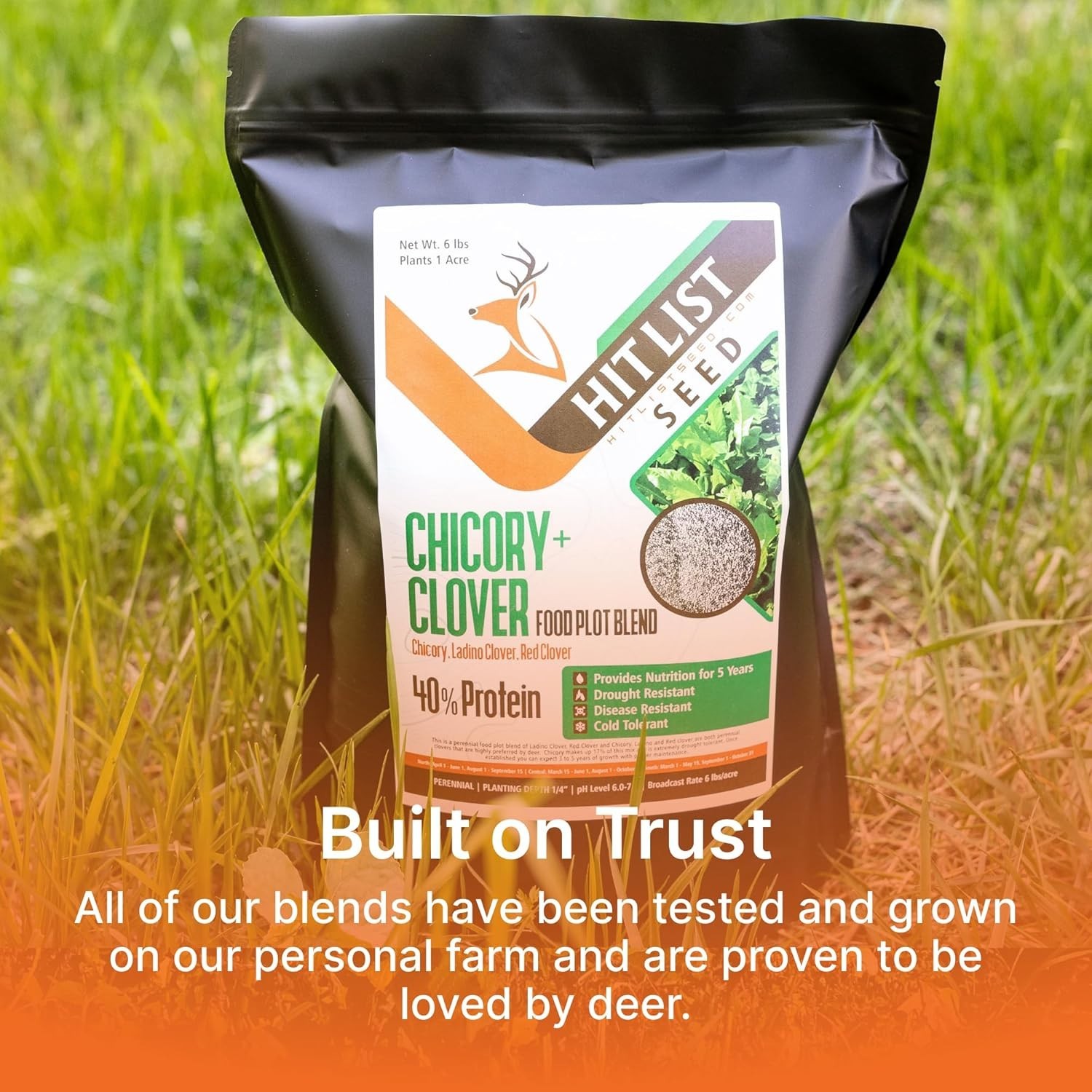 Organic Chicory + Clover Seeds for Deer – Perennial Food Plot – 1 Acre Coverage