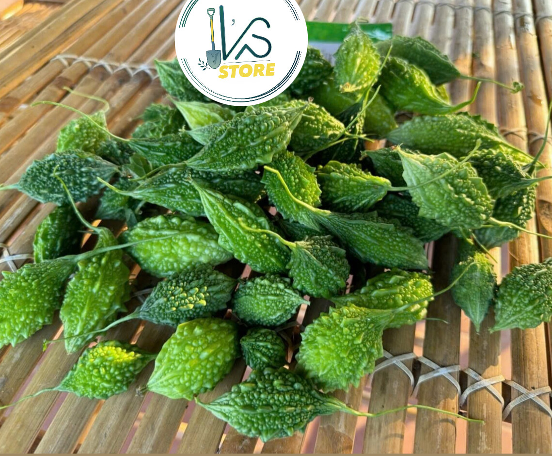 FOREST BITTER MELON SEEDS – HẠT KHỔ QUA RỪNG