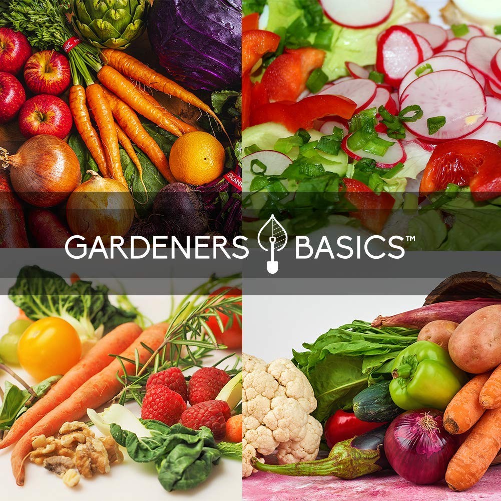 Winter, Fall, and Spring Vegetable Seeds for Planting | Cool Weather Crops | …