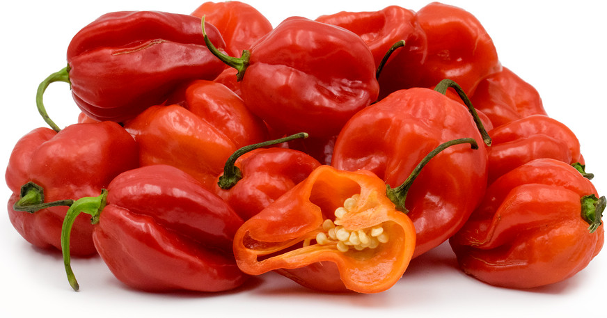 Jamaican Red Scotch Bonnet (10) Untreated Fresh Pepper Seeds. Free Shipping!