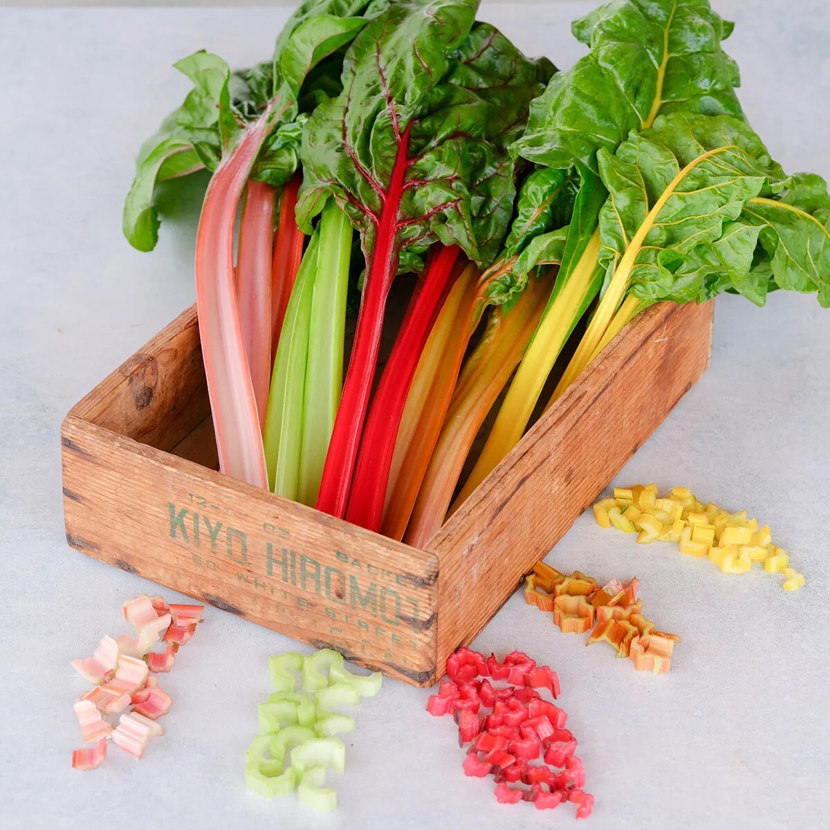 55 Organic Non-GMO Northern Lights Mix Swiss Chard Seeds- Seeds Of Tomorrow