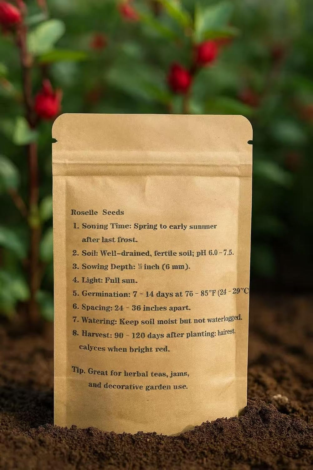 100+ Roselle Seeds for Planting – Hibiscus Sabdariffa Seeds, Roselle Hibiscus Fl