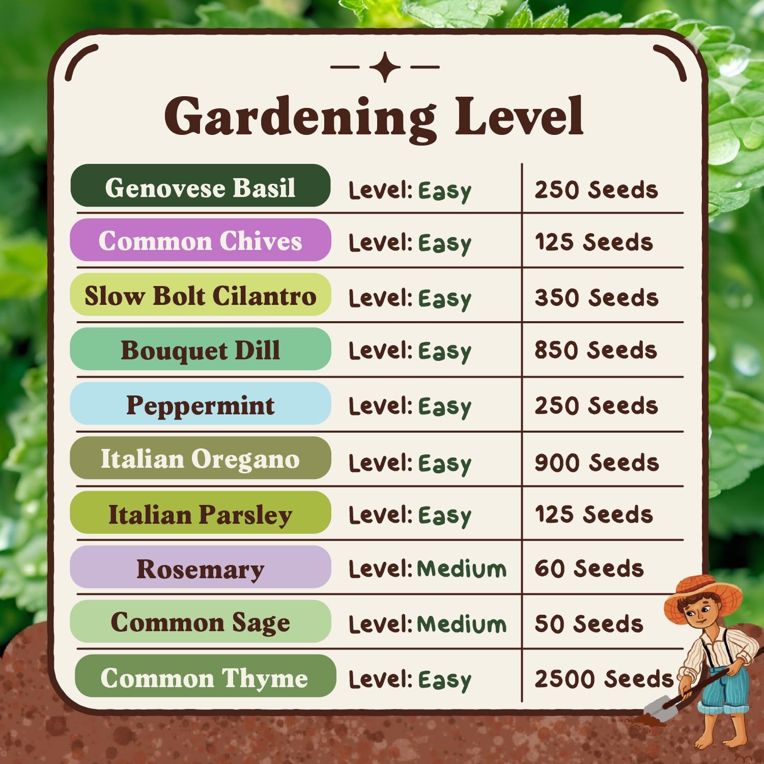 Organic Herb Seeds 10 Variety Pack Basil Mint Parsley Oregano Cilantro Thyme Dil