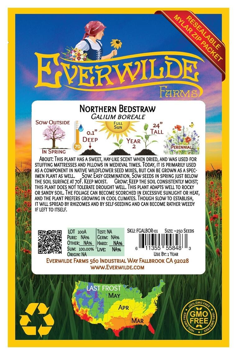 250 Northern Bedstraw Wildflower Seeds – Everwilde Farms Mylar Seed Packet