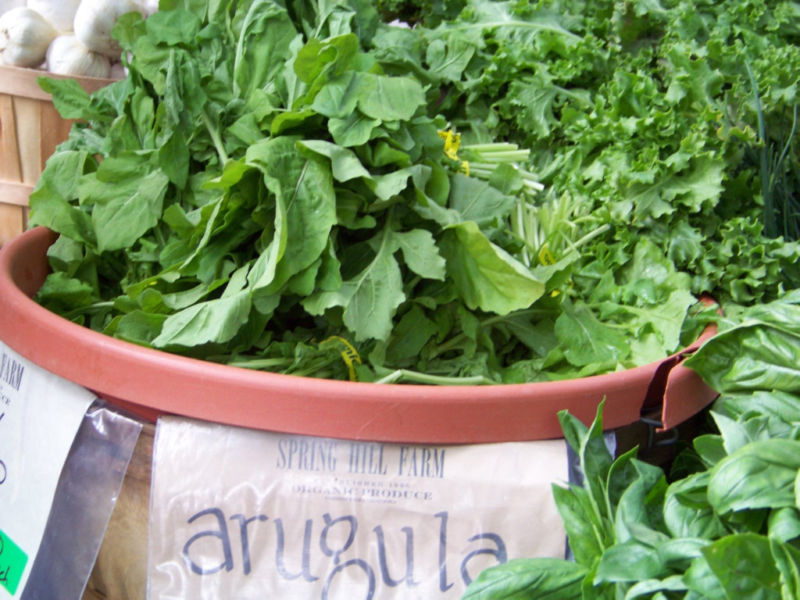 700 SEEDS – arugula ROQUETTE salad greens GroCo – BUY ANY 15 ITEMS-SHIPS FREE