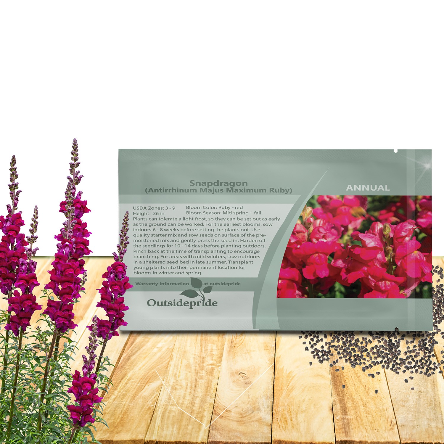 10000 Seeds Snapdragon Seed – Ruby Red Snapdragon Flower Seeds