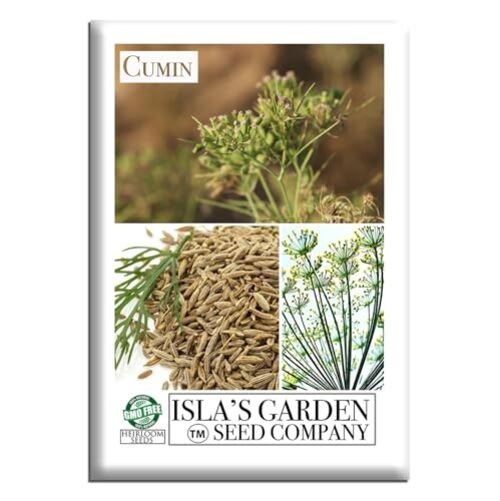 Cumin Seeds (Cuminum cyminum) – 300+ Heirloom Non GMO Seeds by Isla’s Garden