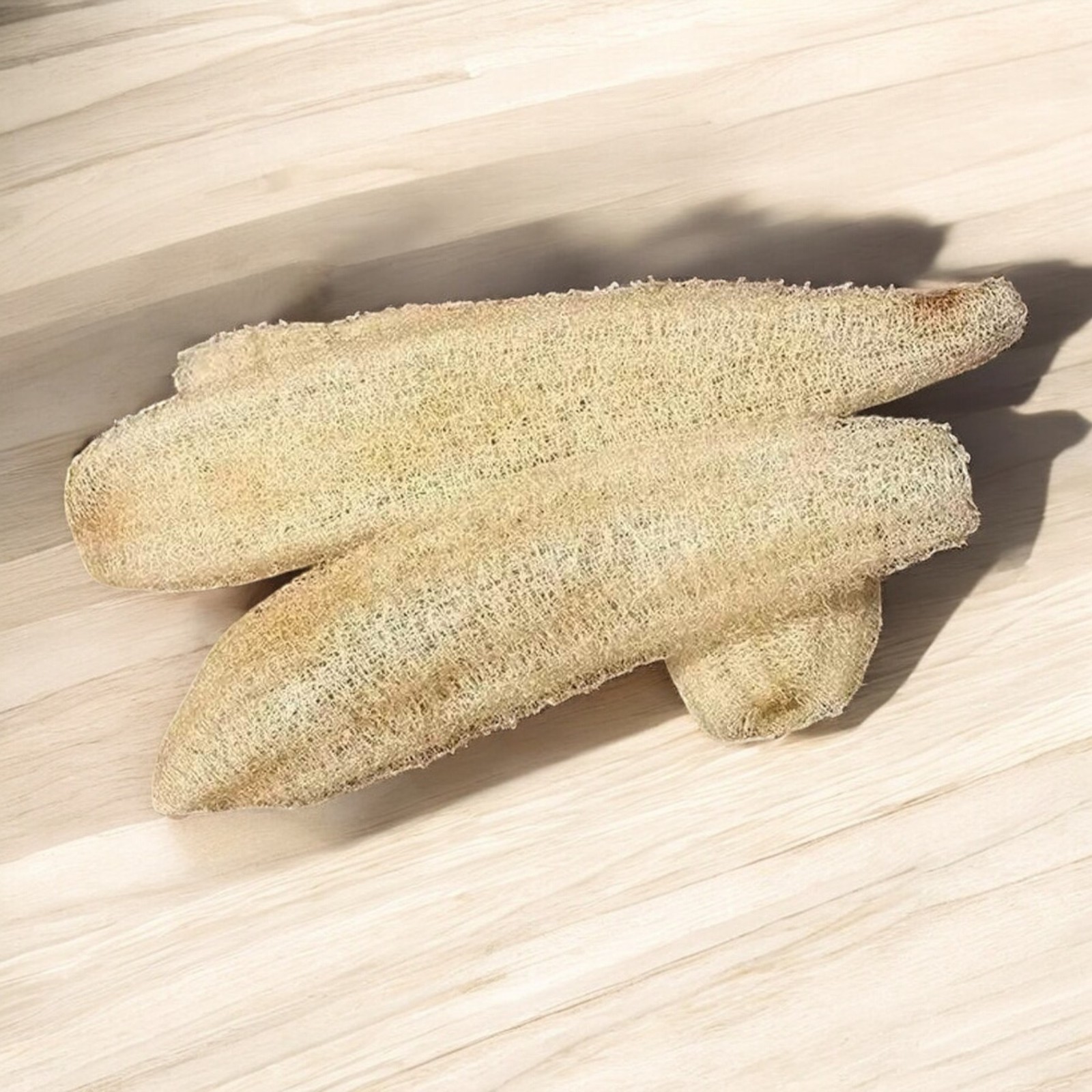 20 Ridged Sponge Gourd Seeds – Edible Vegetable & Natural Bath Loofah Vine