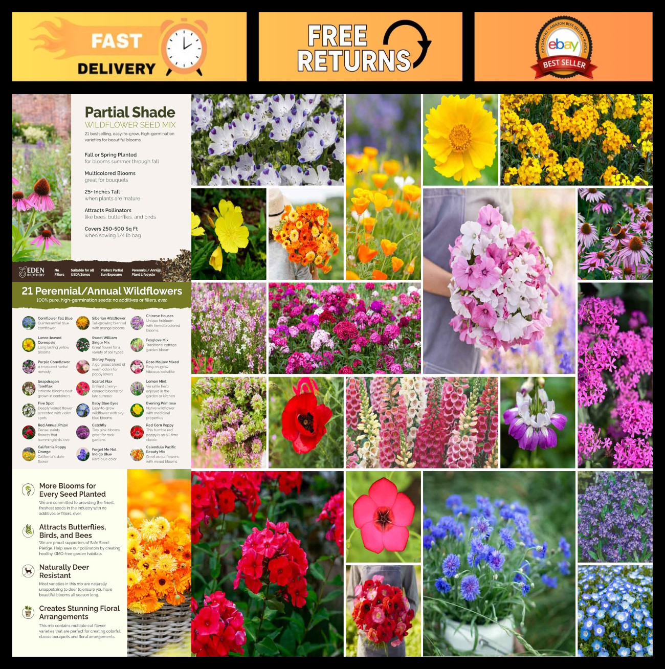 Wildflower Mixed Seeds for Partial Shade – 120,000+ Seeds, Attracts Pollinators,