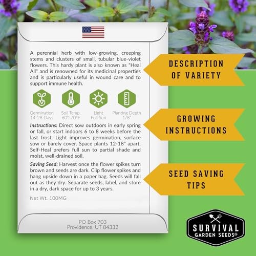 Self-Heal Seeds for Planting – Prunella Vulgaris (All-Heal, Selfheal) Hardy 2