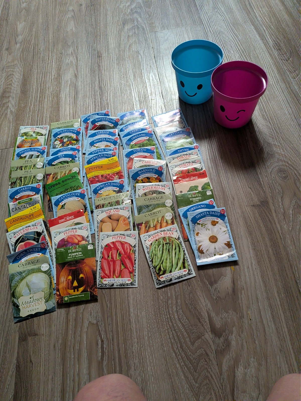Gardening Seeds Assorted Lot