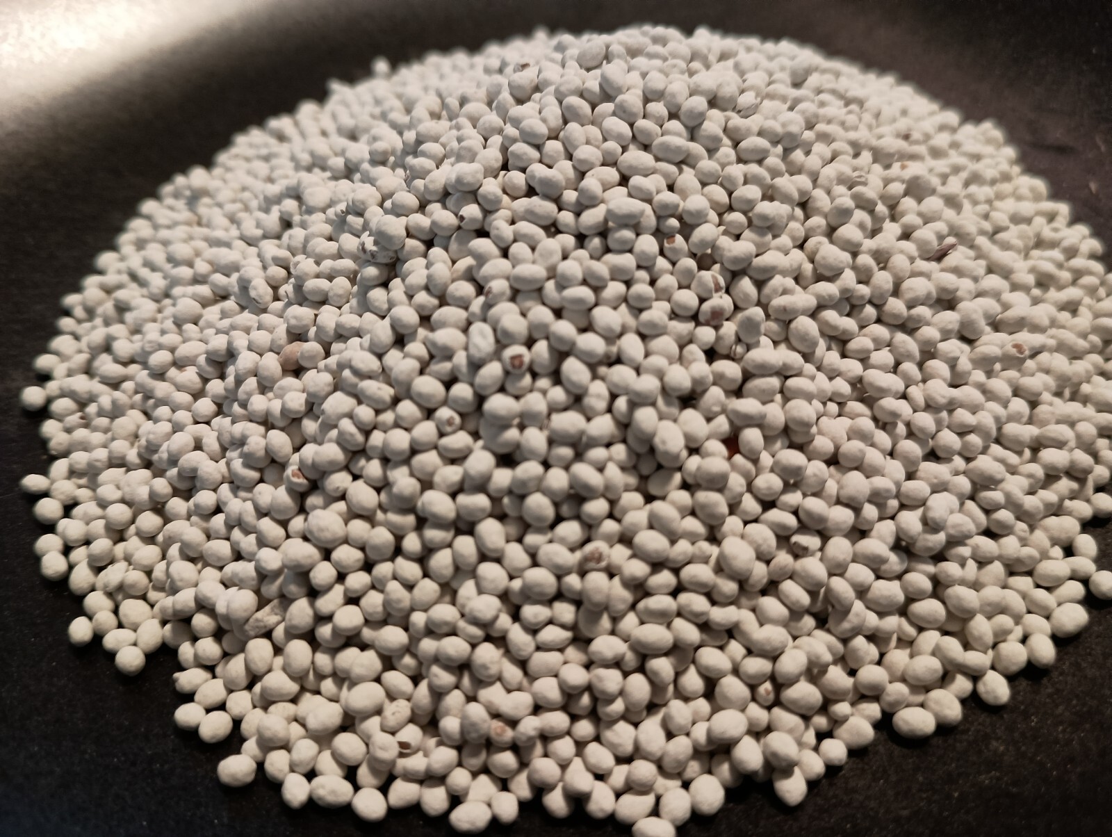 Crimson Clover Cover Crop Seeds For Planting – NON-GMO – Heirloom – Inoculated