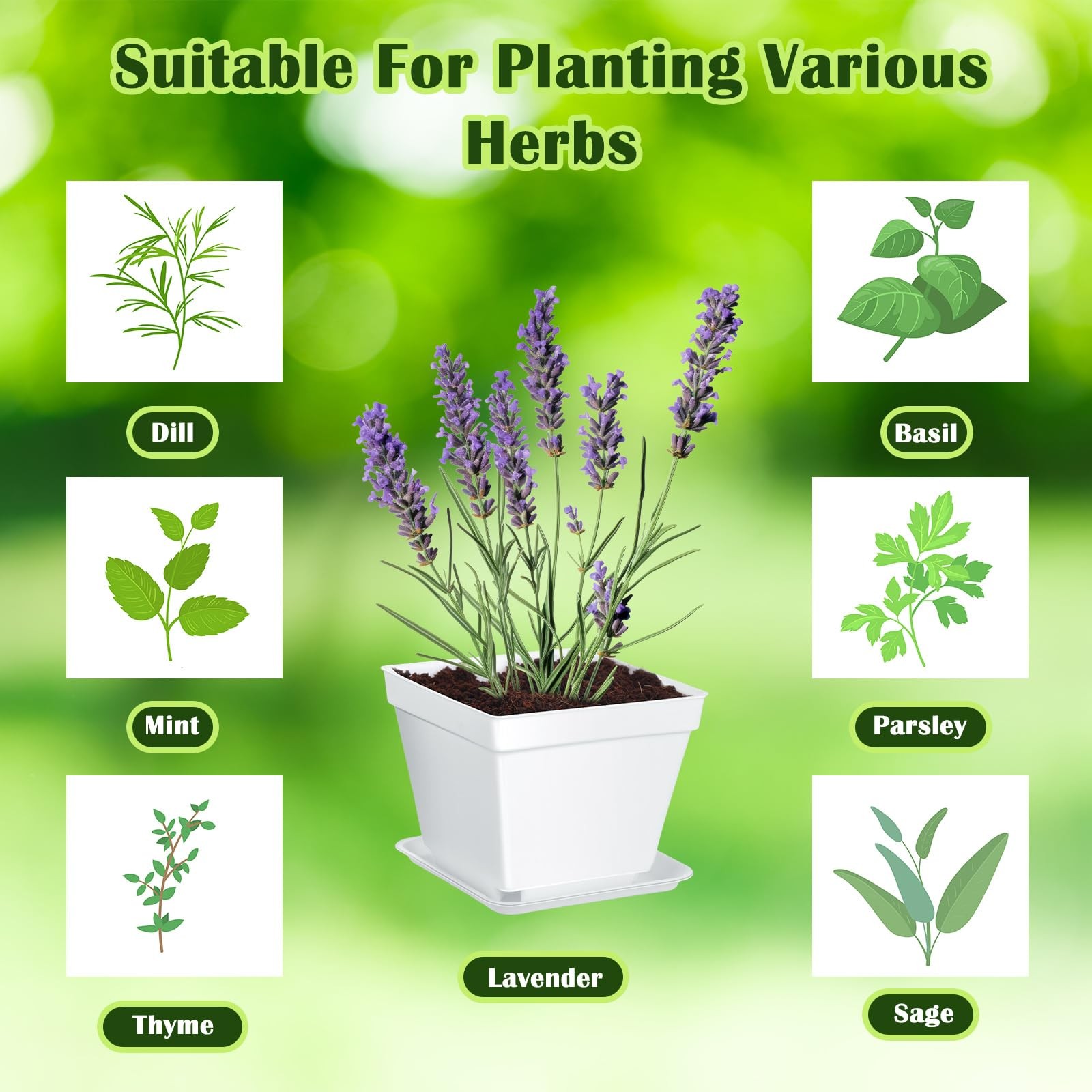 10 Set Indoor Herb Garden Starter Kit, Herb Growing Kit with Pots, Nutritiona…