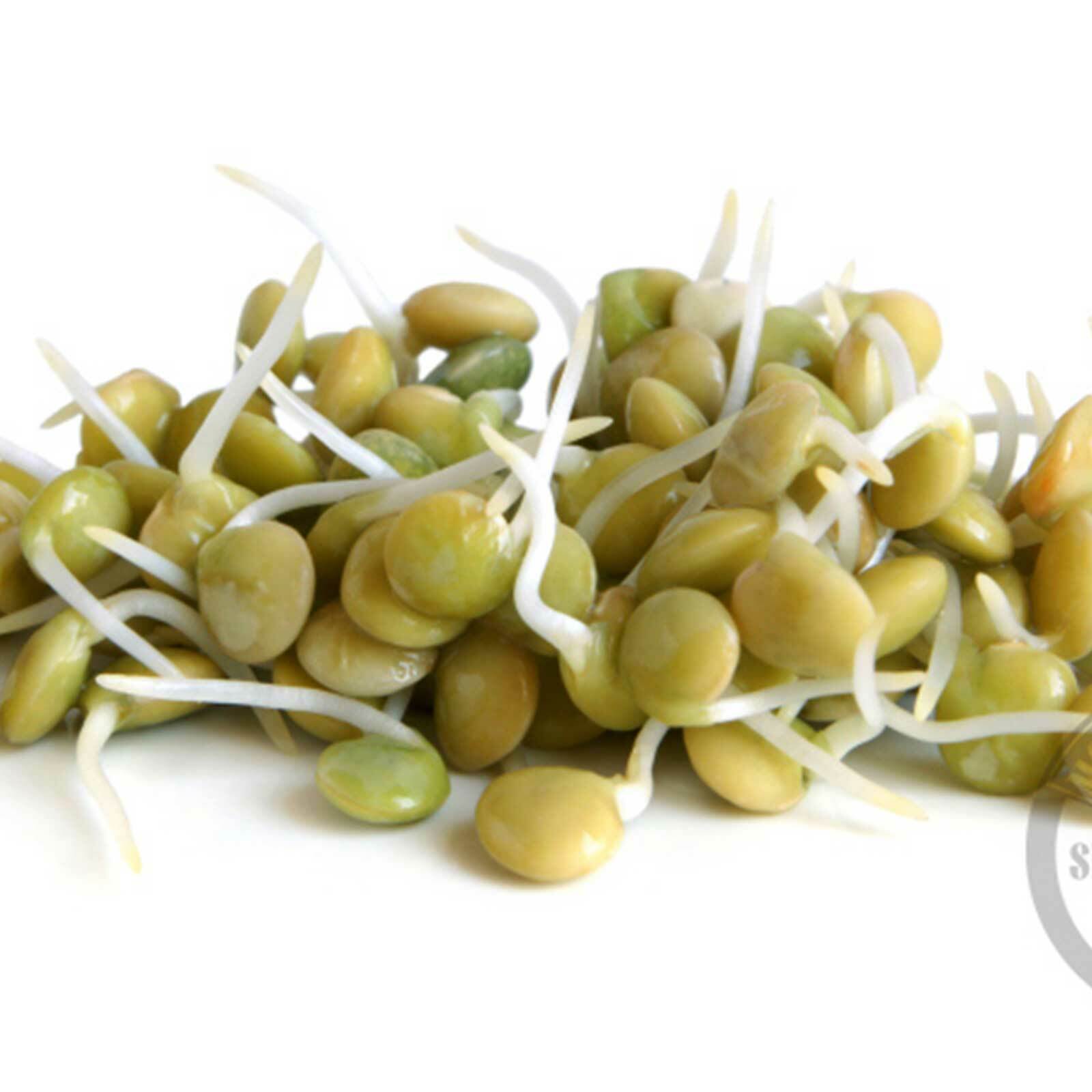 8 oz Christmas Lentils