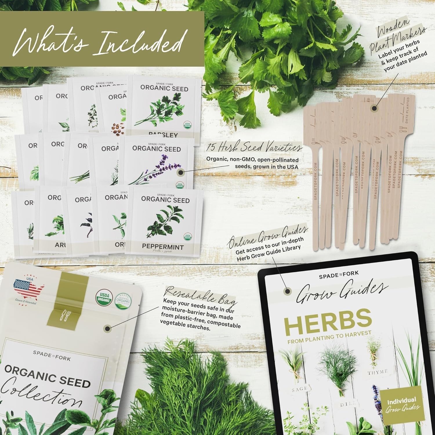 15 Certified Organic Herb Seeds Variety Pack 4X More 10,000+ Non GMO Seeds fo…