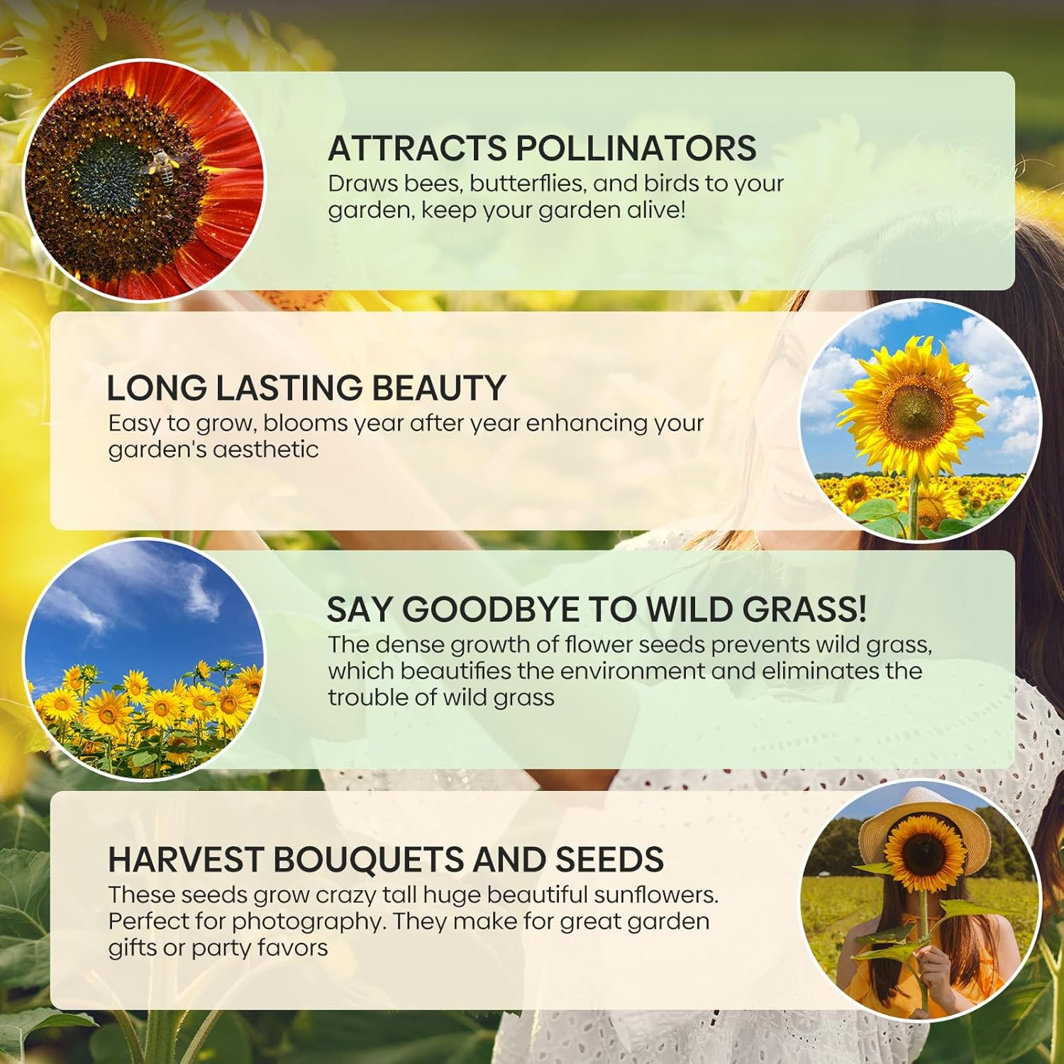 Sunflower Seeds for Planting, 15+ Varieties, 1 Oz, 300+ Mixed Seeds to Plant Col
