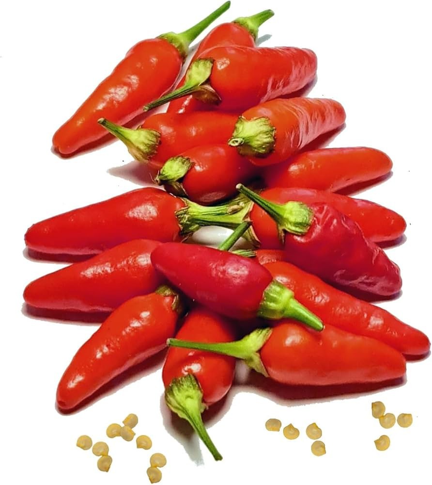 20 RED KONA HAWAIIAN PEPPER SEEDS ~ 2026 ~ heirloomseedguy ~ USA