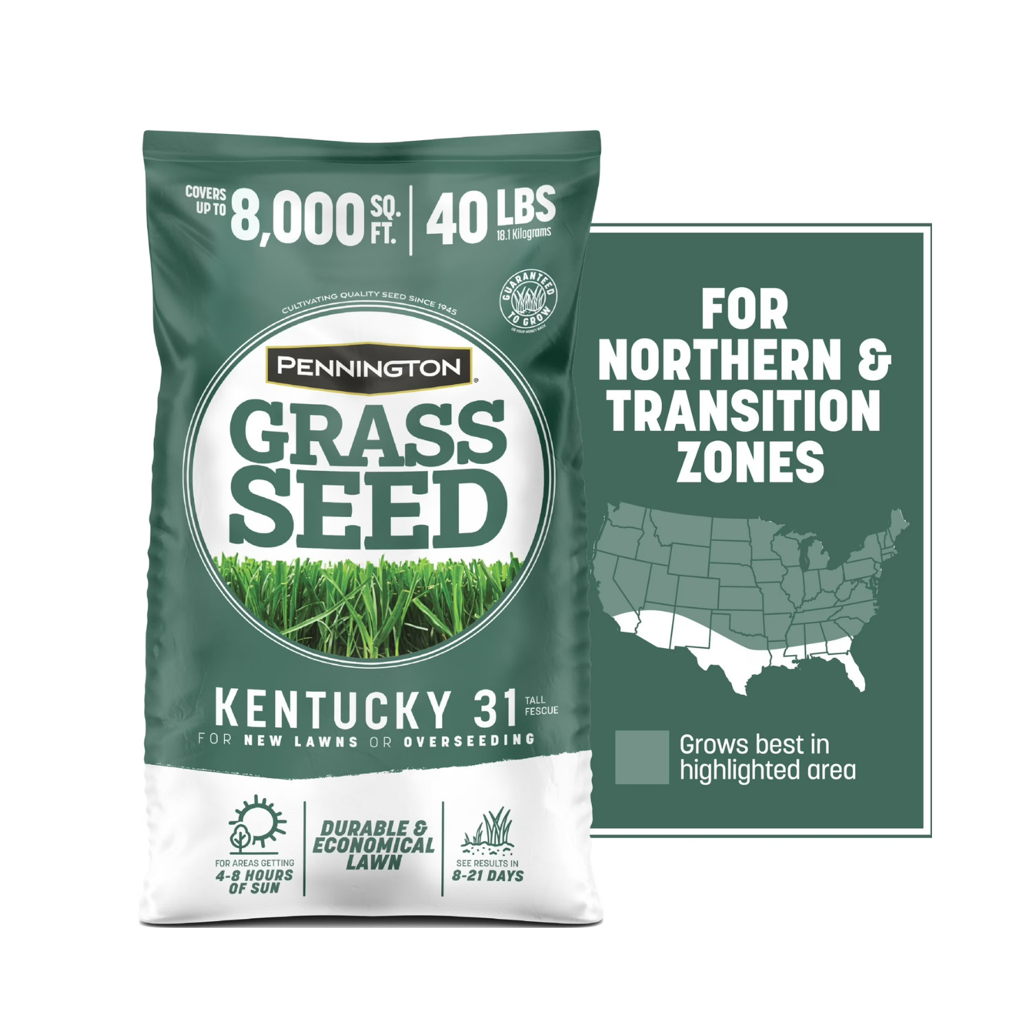 Hot Pennington Kentucky 31 Tall Fescue Grass Seed 40 lb Sun Shade Lawn Repair