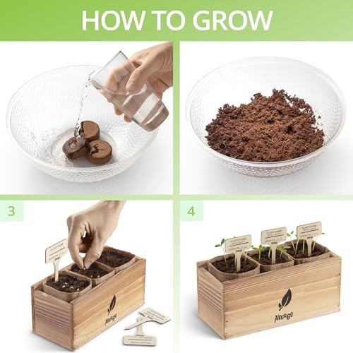 Sunflower Seeds Growing Kit – Complete Indoor & Outdoor Planting Set with Soil,