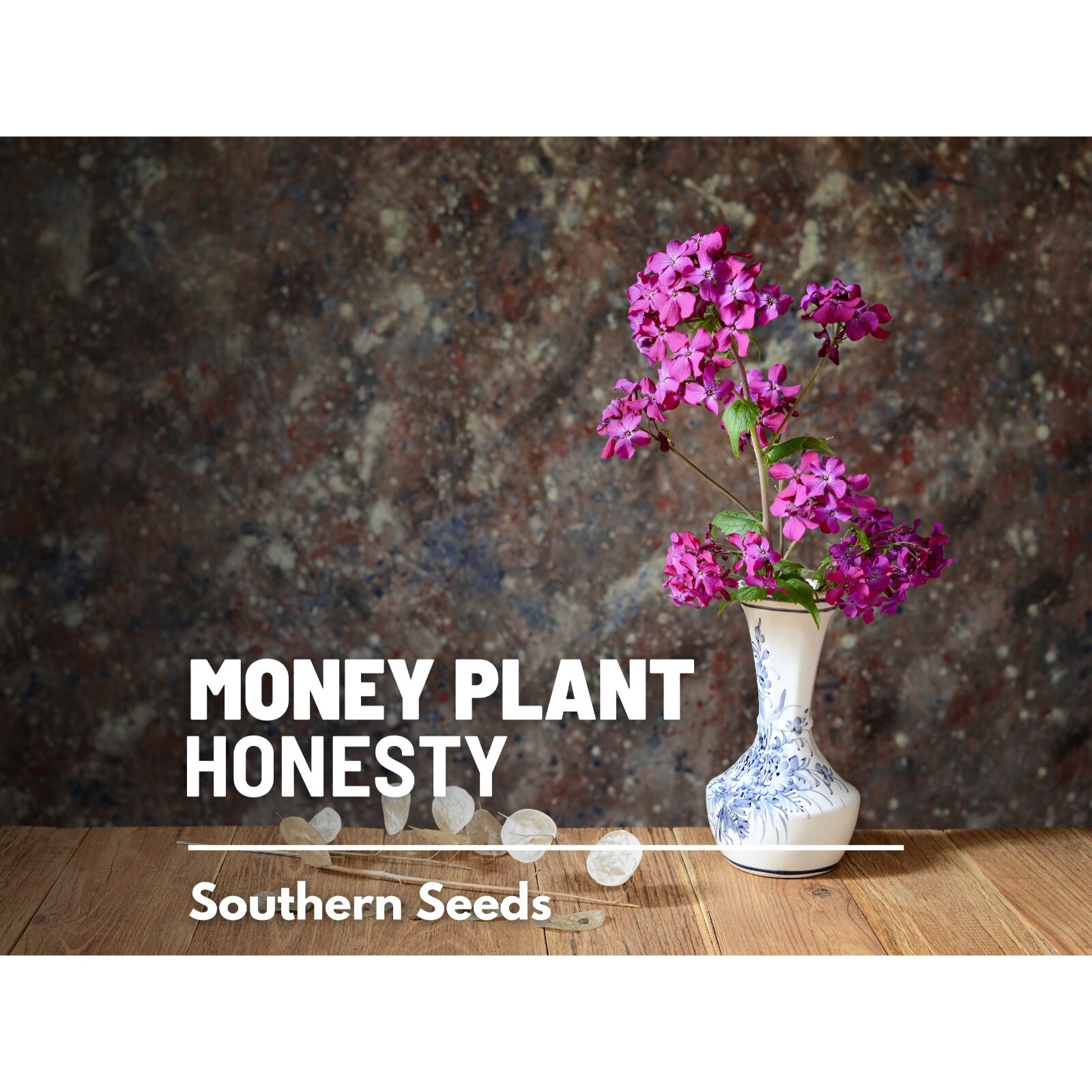 Money Plant (Honesty) – 20 Seeds – Heirloom Flower – Symbol of Prosperity and Ab
