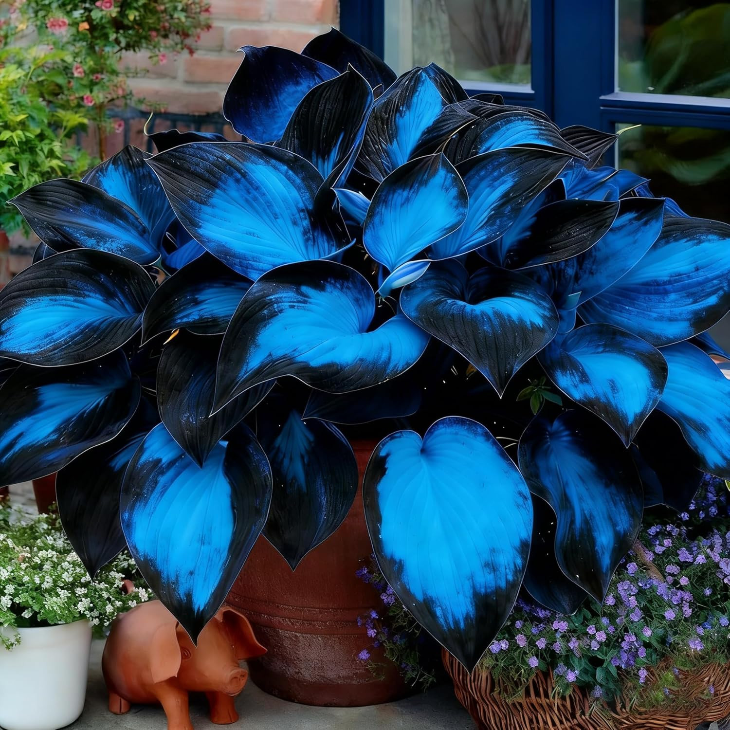 Hosta Seeds for Planting, 290+Pcs Rare Perennial Hosta Flower Seeds Plants, Non-