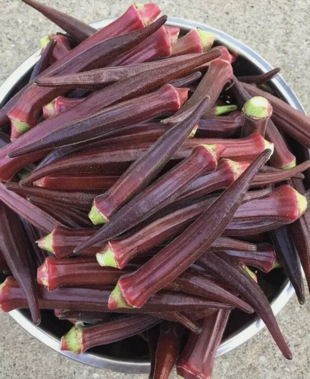 100+ Red Burgundy Okra Seeds (Abelmoschus Esculentus)