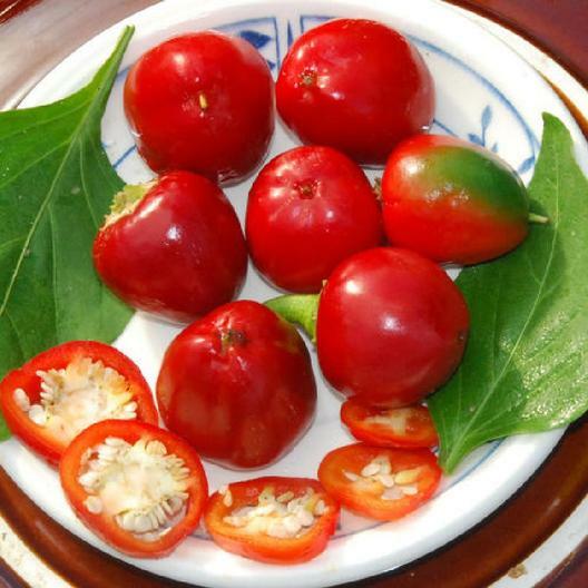 SWEET RED CHERRY PEPPER SEEDS NON-GMO SUPER FLAVOR GREAT FOR PICKLING tastee!