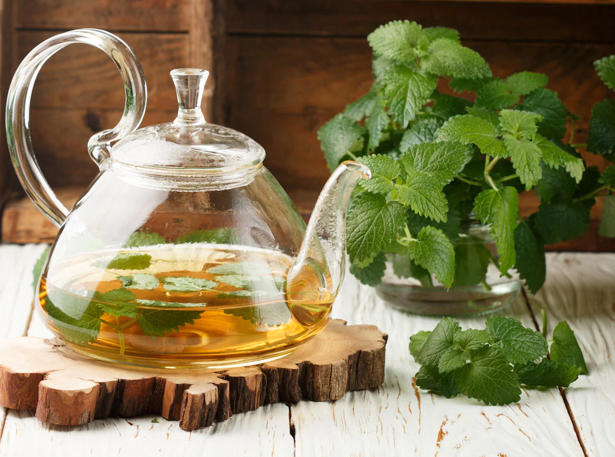 Lemon Balm Seeds | Herb Garden Vegetable Non GMO Basil Citrus Tea Mint Seed 2024