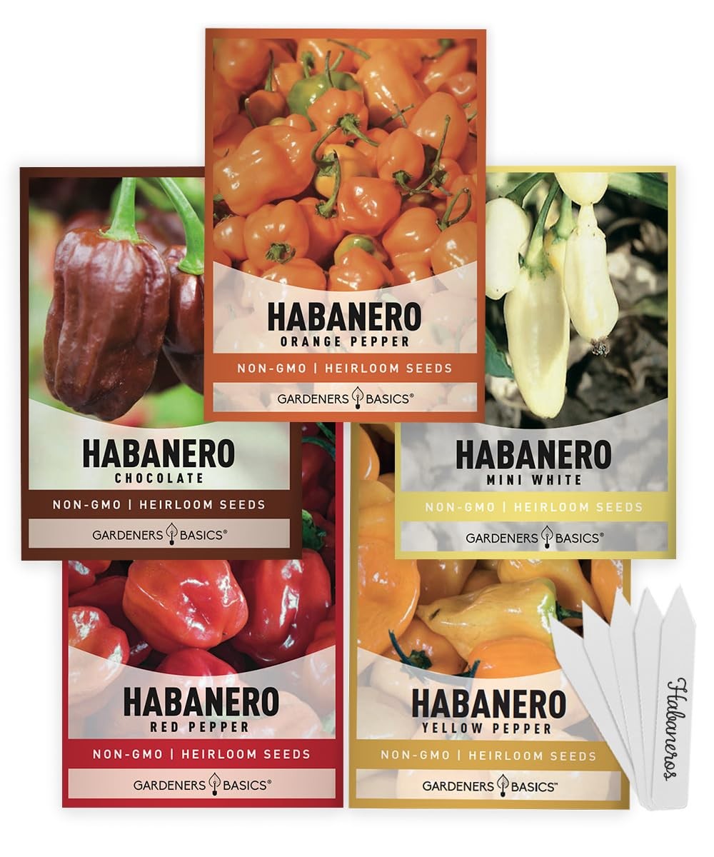 Habanero Pepper Seeds 5 Varieties Hot Orange Red Yellow Chocolate White Heirloom