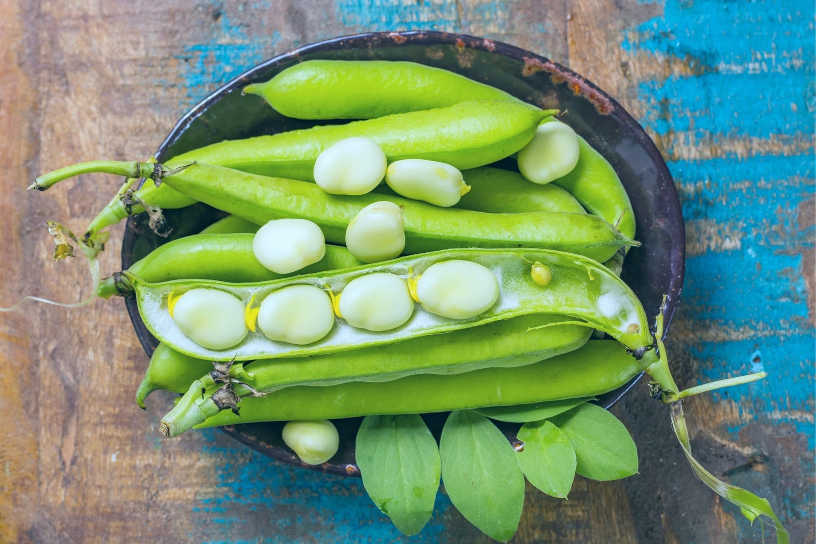 50 Lima Bean Seeds for Planting – Easy to Grow – Fordhook 242 Lima Bean, Award W