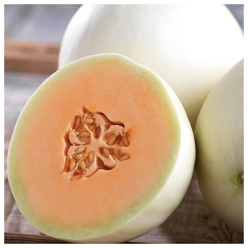 300 Honeydew Seed Variety Combo Pack 4 Unique Sweet Heirloom Honeydew Varieties