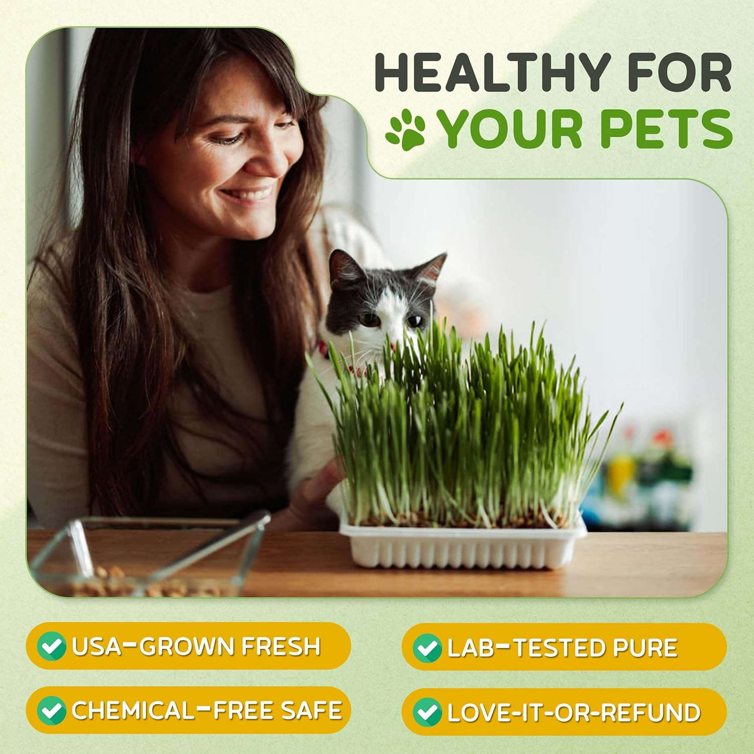 – Cat Grass for Indoor or Outdoor Cats, 1Lb Wheatgrass – Premium, 100% Chemic…