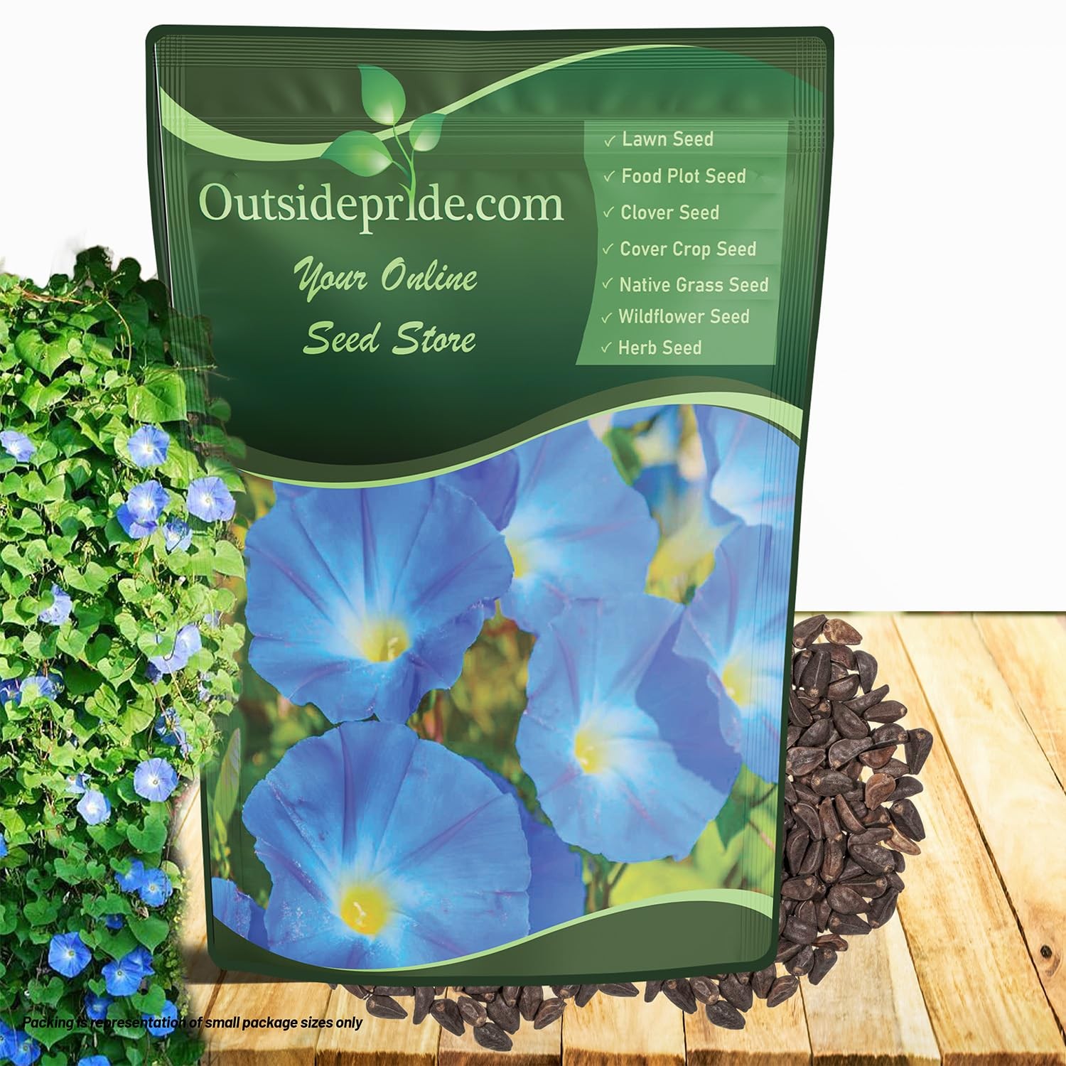 Heavenly Blue Morning Glory Seeds – 1/4 lb. Annual, Climbing & Vining Flower …