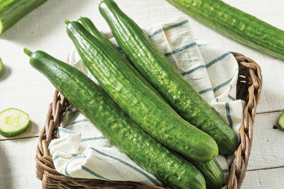 15 Organic Japanese Suyo Long Cucumber 15 Seeds, FREE SHIPPING