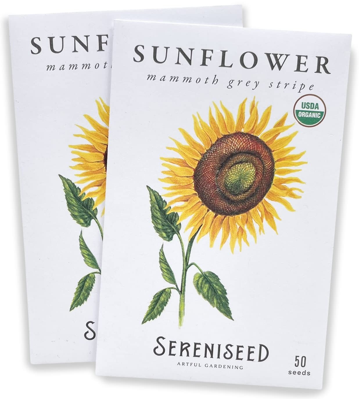 Certified Organic Mammoth Grey Stripe Sunflower Seeds (2-Pack) – 100% Non GMO, O
