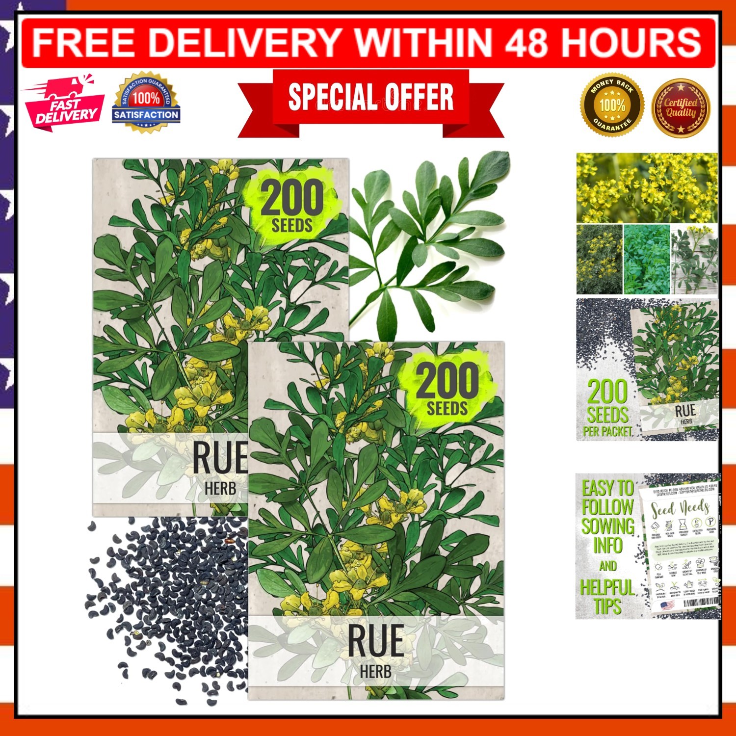 250 Non-GMO Rue Herb Seeds for Indoor/Outdoor Medicinal Gardening – 2 Packs