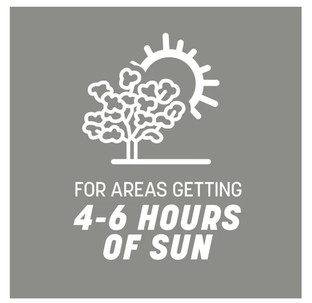 Pennington Contractors Central Grass Seed Mix, for Sun to Partial Shade, 7 Lb.