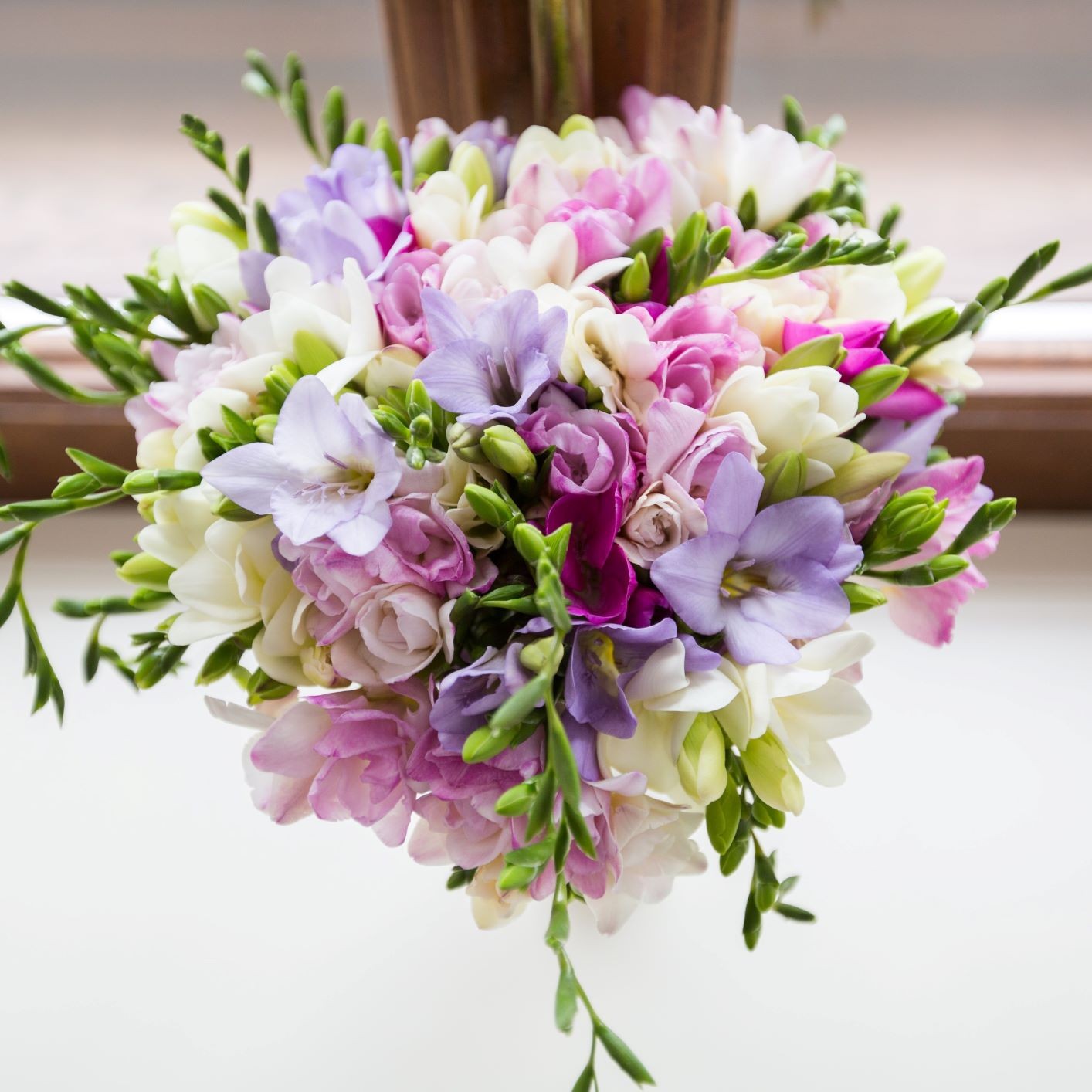 Freesia Berries & Cream Collection 45 Bulbs, Pink Violet & White Spring Flowers